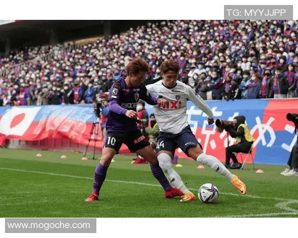 京都不死鸟迎战甲府森林力争胜利展现球队实力与斗志